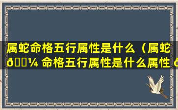 属蛇命格五行属性是什么（属蛇 🌼 命格五行属性是什么属性 🦆 ）